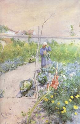 Carl Larsson In the Kitchen Garden (nn2 Sweden oil painting art